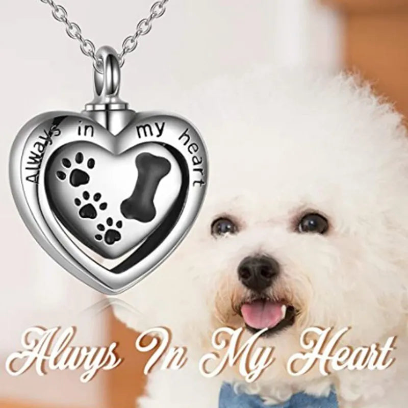 Collier urne commémorative pour animaux de compagnie avec empreinte de patte