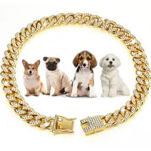 Collar para perro dorado grueso - Perro tamaño S / M
