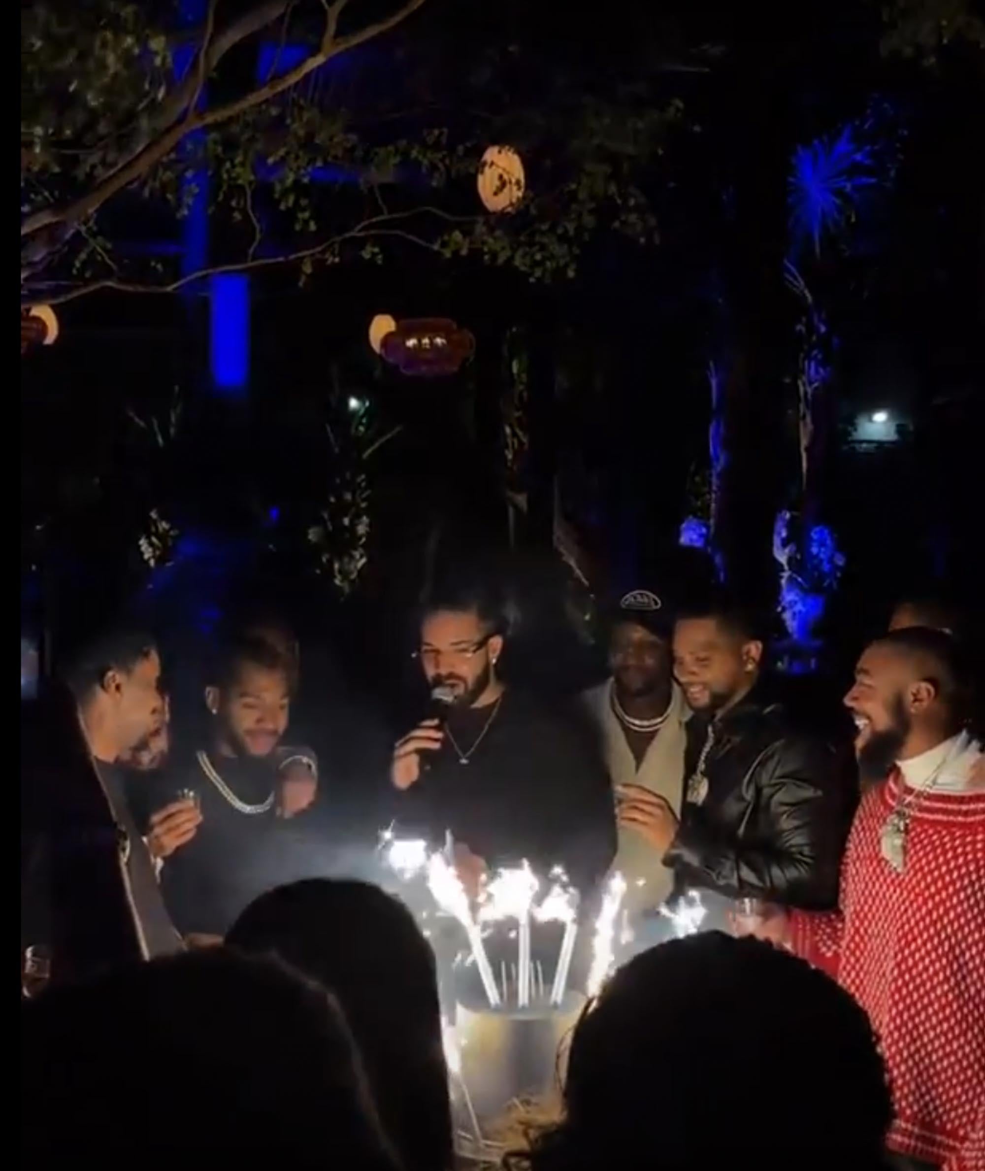 Drake's Epic Birthday Bash: A Night to Remember