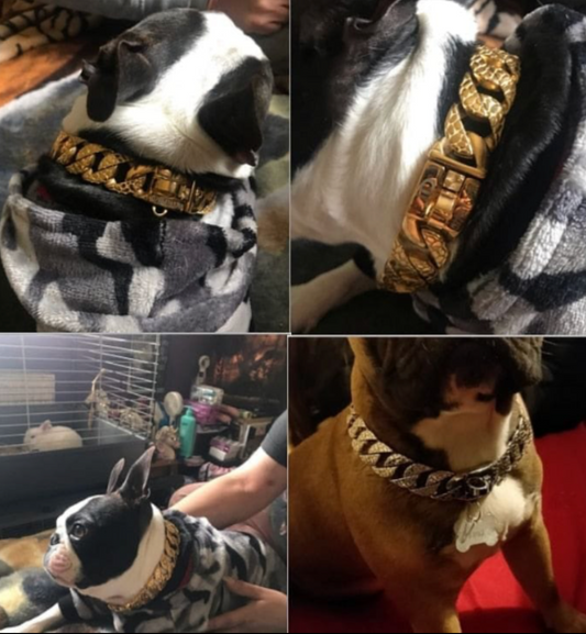 VVS Jewelry's Cuban Dog Collars