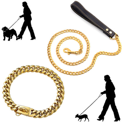 Collier pour chien Chunky Gold - Chien de taille S/M