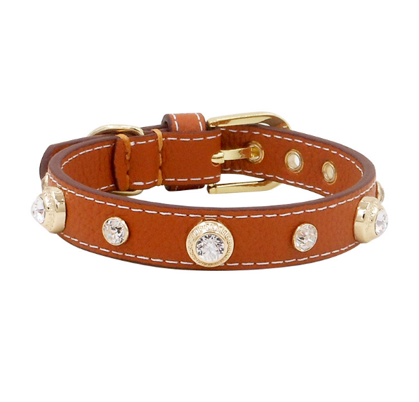 Luxury Dog Collar Bling