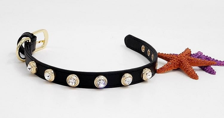 VVS Jewelry hip hop jewelry Luxury Dog Collar Bling